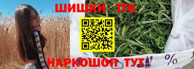 тгк Гусев