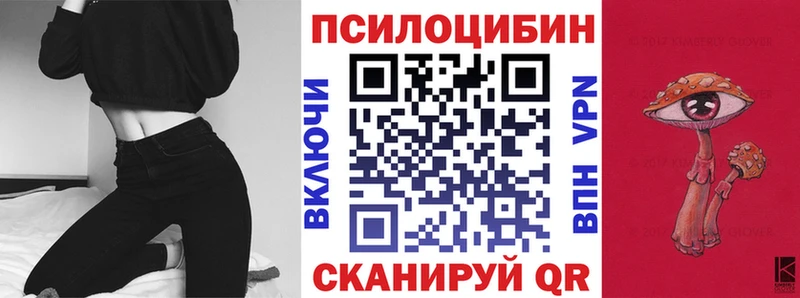 hydra ONION Переславль-Залесский Псилоцибиновые грибы GOLDEN TEACHER