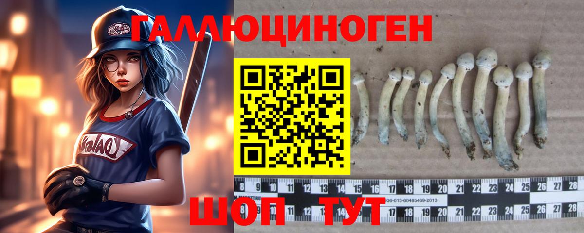 Псилоцибиновые грибы прущие грибы  Вход с VPN  Переславль-Залесский 
